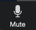 Zoom mute button