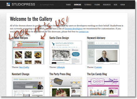 IDS website featured in StudioPress Gallery